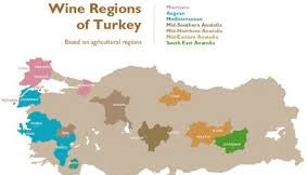 Visit Turkey. Drink the Wines