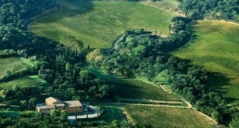 New York Developer Acquires French Winery: Chateau de Chausse