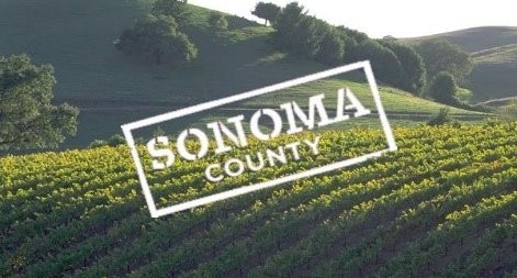 Wines of Sonoma Visit New York City